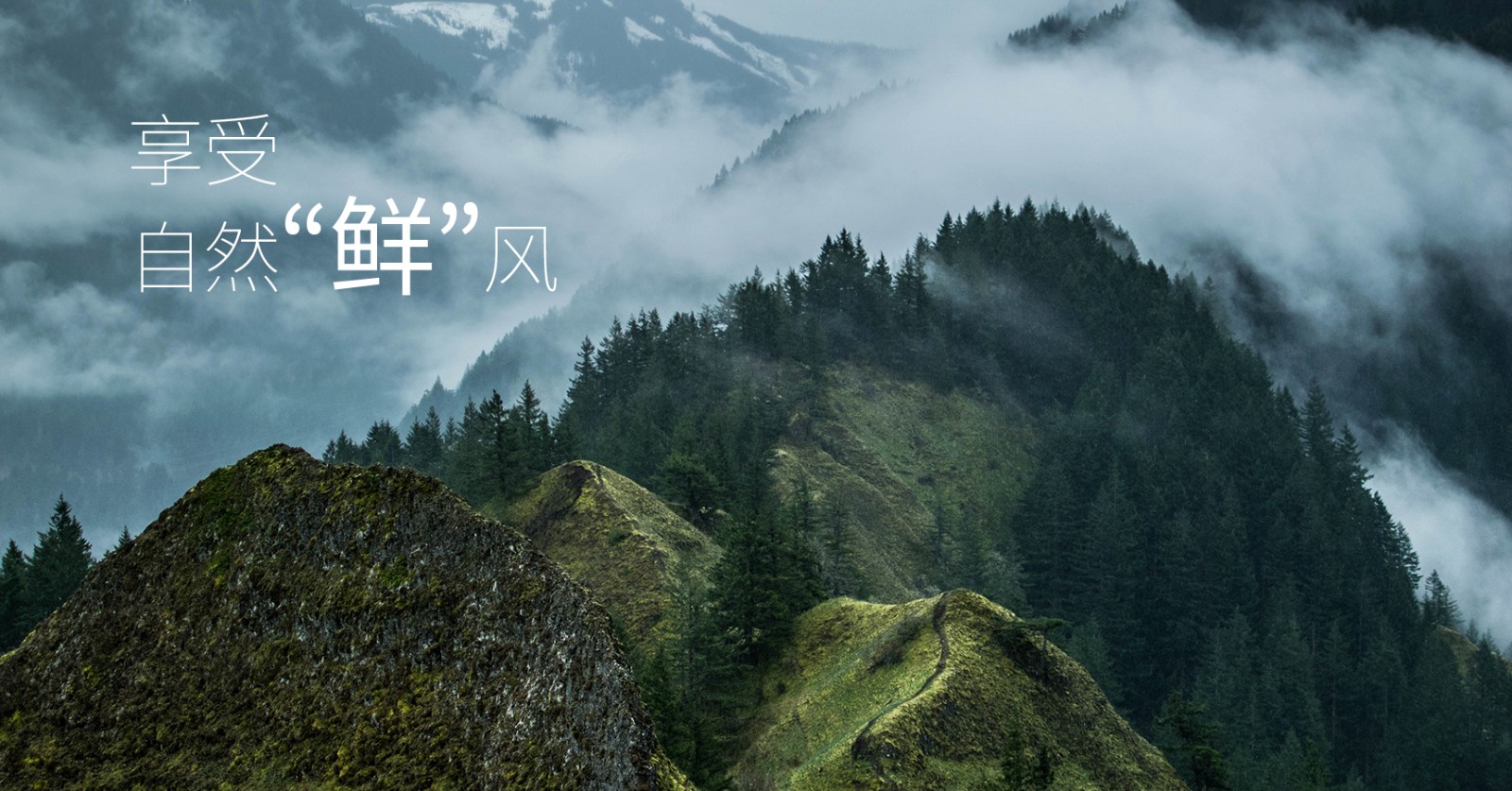 颯多大的、爽.jpg